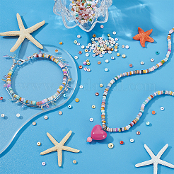 500 Stück 10 Stile natürliche Muschelperlen&nbsp;BSHE-GA0001-04