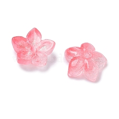 Embouts de perles de verre teints et chauffés&nbsp;X-GLAA-Z019-02M
