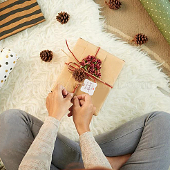 Papierbänder&nbsp;DIY-PH0002-23