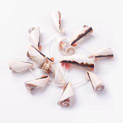 Naturali di acqua dolce perline shell fili&nbsp;BSHE-L036-21