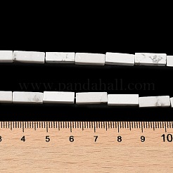 Synthetik Howlith Perlen Stränge&nbsp;G-K340-D06-01