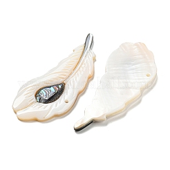 Natürliche Süßwassermuschel&nbsp;BSHE-G034-01