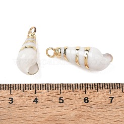 Pendientes de concha de caracol naturales&nbsp;SH-CBACA76-11