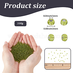 Perle di semi di vetro 100g&nbsp;SEED-SP0001-11C