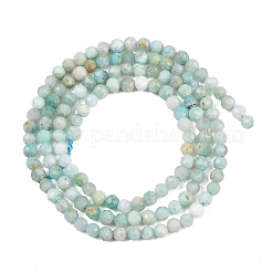 Amazonite naturale fili di perle&nbsp;G-P279-42-3mm