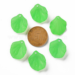 Colgantes transparentes de acrílico esmerilado&nbsp;MACR-S371-01A-734