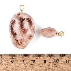 Anhänger aus Messing und natürlicher Spiralmuschel&nbsp;SHEL-Q029-19KCG