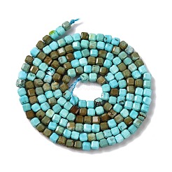 Fili di perline howlite naturale&nbsp;G-G001-A02-06
