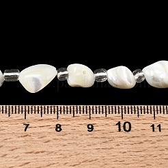 Natürliche Trochidschale / Trochusschalenperlenstränge&nbsp;BSHE-A002-04A