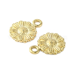 Ciondoli in acciaio inossidabile 304&nbsp;STAS-L269-056G