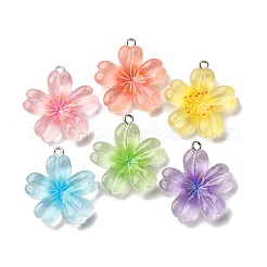 Pendentifs en résine transparente&nbsp;RESI-A046-05B