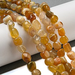 Chapelets de perles en agate naturelle du Botswana&nbsp;G-D081-A10-02