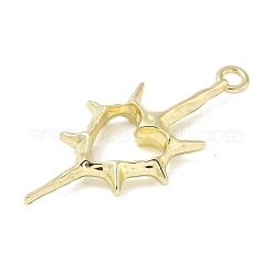 Legierung große Anhänger & Charms&nbsp;FIND-L025-16G