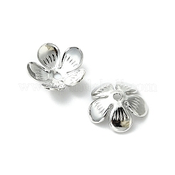Embouts de perles en laiton shegrace&nbsp;XGRPCU787-282P