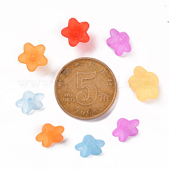 Perles en acrylique transparente&nbsp;PL554-M