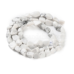Natürliche Howlith Perlen Stränge&nbsp;G-P497-01C-64