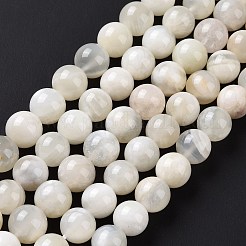 Bianco naturale perline pietra di luna fili&nbsp;G-F674-08-10mm-01