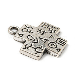 Tibetischer stil Aluminium Anhänger & Charms&nbsp;LS-PALLOY-P293-162