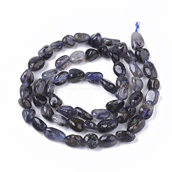 Naturperlen Stränge iolite&nbsp;G-S362-039