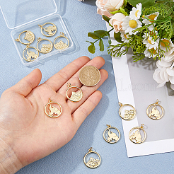 12pcs 2 Arten Messinganhänger&nbsp;KK-HS0015-94