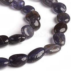 Perline iolite naturale fili&nbsp;G-D0002-D74