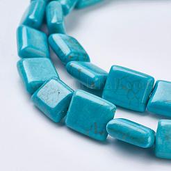 Brins de perles de magnésite naturelle&nbsp;TURQ-K003-12C