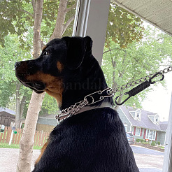 4 Stück 4 Farben Polyesterschnur geflochten Hundegeschirr Halsband Leine Verbinder&nbsp;AJEW-GO0001-38