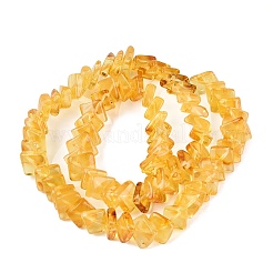 Perline ambra naturale fili&nbsp;G-N371-12A-01