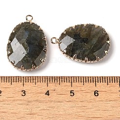 Anhänger aus natürlichem Labradorit mit Facettenschliff&nbsp;G-Q169-01G-03