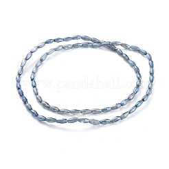 Fili di perle di vertro placcato&nbsp;EGLA-H100-FR01