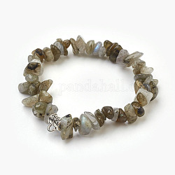 Perles naturelles labradorite étirent bracelets, avec les accessoires en alliage, puce, 1-3/4 pouce (4.5 cm)