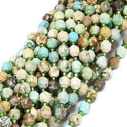 Chapelets de perles en turquoise naturelle, avec des perles de rocaille, facette, Toupie, perles de prisme à double pointe, 5~7x6mm, Trou: 0.8mm, Environ 48 pcs/chapelet, 15.55 pouce (39.5 cm)