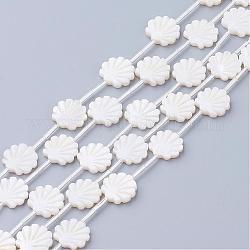 Perles de coquillage blanc naturel, perles coquille en nacre, en forme de coquille, couleur de coquillage, 12x12x3mm, Trou: 0.8~1mm