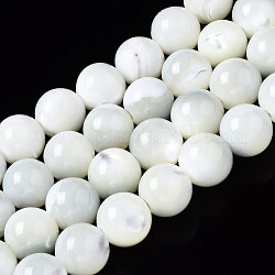 Fili di perle di conchiglia trochid naturale / trochus, tondo, candeggiare, colore conchiglia, 8mm, Foro: 1.2 mm, circa 50~52pcs/filo, 15.35~15.75 pollice (39~40 cm)