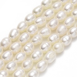Fili di perle di perle d'acqua dolce coltivate naturali, riso, biancheria, 4.5~6x4~4.5mm, Foro: 0.6 mm, circa 62pcs/filo, 14.37'' (36.5 cm)