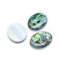 Paua Shell Oval Cabochons, Colorful, 24.5~25x19~19.5x3.5~4mm