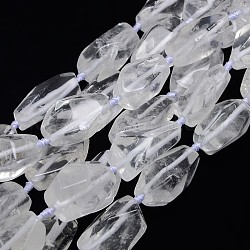 Fili di perline di cristallo di quarzo con pietre preziose naturali, perle di cristallo di rocca, pepite, 20~45x10~25mm, Foro: 2 mm, circa 10~12pcs/filo, 15.74 pollice