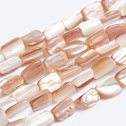 Chapelets de perles en coquillage naturel, rectangle, 9~10x6~7x4~5mm, Trou: 0.5mm, Environ 40 pcs/chapelet, 15.75 pouce (41 cm)