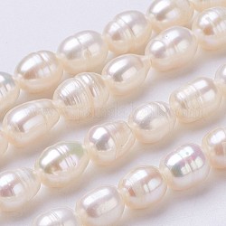 Fili di perle di perle d'acqua dolce coltivate naturali, ovale, colore conchiglia, 6~7x5mm, Foro: 0.5 mm, circa 48pcs/filo, 13.2 pollice