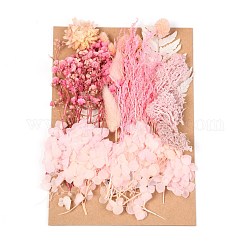 ドライフラワー  ブライダルシャワー用  結婚式  保存された生花  ピンク  210x148x14~24.5mm