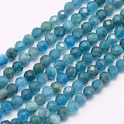 Chapelets de perles en apatite naturelle, facette, ronde, 3mm, Trou: 0.5mm, Environ 132 pcs/chapelet, 15.7 pouce (40 cm)