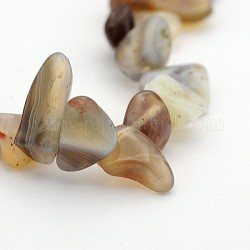Natural Botswnan Agate Bead Strands, Nuggets, 10~22x5~14x4~11mm, Hole: 1mm, about 15.7inch