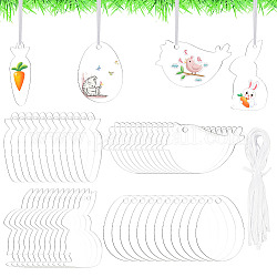 Benecreat, 1 комплект, прозрачные акриловые заготовки, большие украшения с подвесками, подвесное украшение для пасхальной вечеринки, кролик/яйцо/морковь/птица, прозрачные, 100x53x2 мм, отверстие : 4.5 мм
