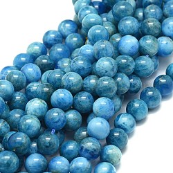 Natürliche Apatit Perlen Stränge, Runde, 8 mm, Bohrung: 0.8 mm, ca. 48 Stk. / Strang, 15.35 Zoll (39 cm)