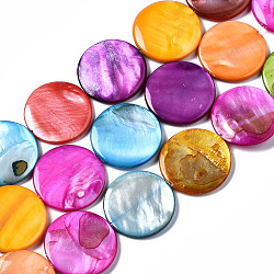 Eau douce naturelle de coquillage perles brins, teinte, plat rond, couleur mixte, 25x25x3mm, Trou: 1mm, Environ 16 pcs/chapelet, 15.20~15.55 pouce (38.6~39.5 cm)
