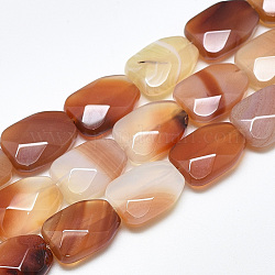 Chapelets de perles rouges en agate naturelle, facette, calebasse, 16~16.5x12x6mm, Trou: 1mm, Environ 12 pcs/chapelet, 7.8 pouce