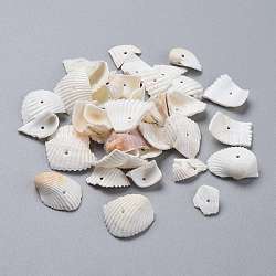 Perles en coquillage naturel, tessons shell, pépites, blanc, 11.5~22.5x12.5~22.5x1.5~9.5mm, Trou: 1~1.2mm