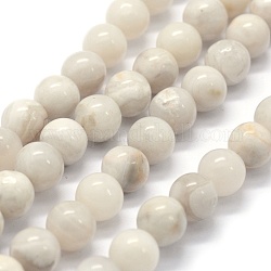 Natural White Crazy Agate Beads Strands, Round, 6mm, Hole: 0.8mm, about 62pcs/strand, 15.3 inch(39cm)