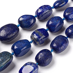 Filo di Perle lapis lazuli naturali , pietra burrattata, fili di perle graduate, pietra burrattata, pepite, 13~34x9.5~21.5x8~20mm, Foro: 1.5 mm, circa 18pcs/filo, 15.75 pollice (40 cm)