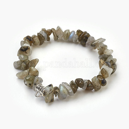 Natur Labradorit Perlen Stretch-Armbänder BJEW-JB03860-08-1